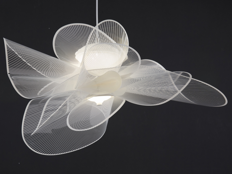 GD2021S,Modern Chandelier & Fancy hanging light
