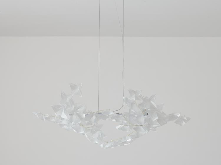 GD2022,Modern Chandelier & Fancy hanging light